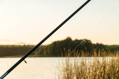 釣り場ごとの潮目・潮流観察と魚の活性の見極め方