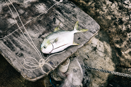 疑似餌(ルアー)と仕掛けの種類:日本のルアーフィッシング事情