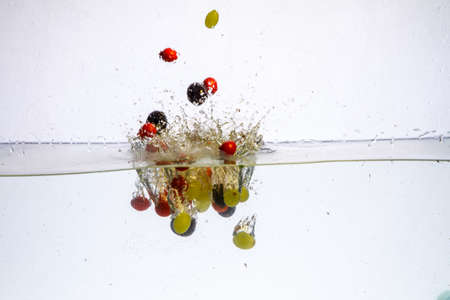 YouTubeで釣果動画をアップする際の編集や撮影のコツ