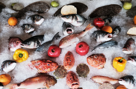 釣果アップの秘訣!状況別・天候別の餌釣り&ルアー釣り攻略法